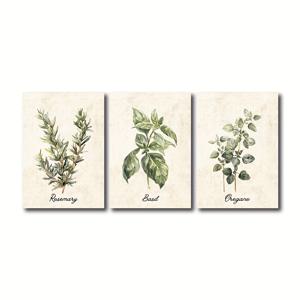 TEMU 2D 평면 주방 빈티지 프린트 3종 세트, 빈티지 베이지 주방 벽 예술, 소박한 수채화 식물 허브 장식, 모던 코티지코어 팜하우스 포스터, 액자 미포함