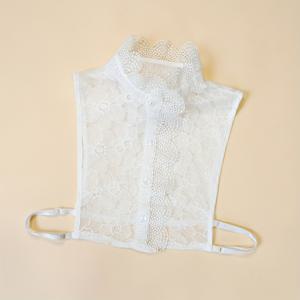 TEMU 궁궐 스타일 레이스 탈부착 고품질 여성용 셔츠 칼라 1개, 봄, 여름, 가을용 새로운 패셔너블하고 활용도 높은 스타일, 섹시한 빈티지 디자인