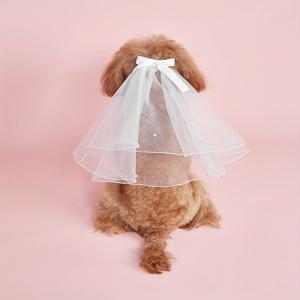 TEMU 고양이 & 개용 웨딩 드레스 & 헤어밴드 세트