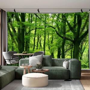 TEMU 1개 - 초대형 사이즈 - 생동감 있고 고요한 숲 풍경 사진 거대한 디지털 프린팅 태피스트리, 미적 프린팅 폴리에스터 - 거실 침실 파티 장식용 - 무료 걸이용 클립 포함 벽 장식