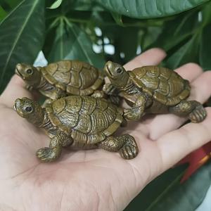 TEMU 3개 리얼한 갈색 거북이 조각상 - 실제 같은 눈, 자연스러운 스타일 정원 장식, 내구성 좋은 레진 실내외 장식품, 연못 탁상 장식에 적합, 전기 불필요, 간편한 설치 - 할로윈 또는 연중 장식에 적합