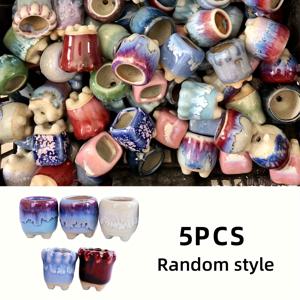 TEMU 귀여운 다육이 화분, 집에서 가꾸기에 완벽