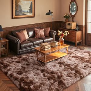 TEMU 플러시 타이 다이 브라운 퍼지 러그, 거실용 부드럽고 푹신한 카펫, 침실용 따뜻한 겨울 매트, 홈 데코, 미끄럼 방지 및 세탁 가능, 폴리에스터 섬유 재질
