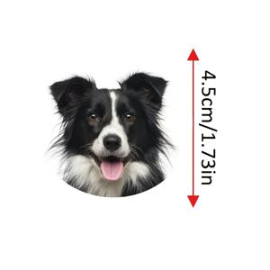 TEMU 맞춤 스티커, 창의적인 DIY 접착 스티커, 맞춤 애완동물 사진 스티커, 맞춤 봉인 스티커, 물병, 노트북, 스케이트보드, 기타, , 헬멧, 카메라, 노트북, 컵, 가방 장식용 맞춤 애완동물 종이 스티커