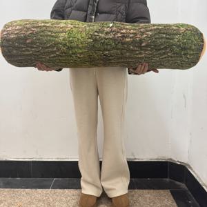 TEMU 대형 나무 베개 캐빈 장식용 - 자연 베개 나무 줄기 나무 긴 원형 던지기 베개 3D 프린트, 테리안 룸 데코 숲 테마 우디랜드 침실 소파용