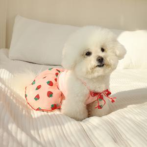 TEMU 포메라니안, 비숑, 테디, 요크셔테리어, 슈나우저 등 소형견에게 적합한 헤어피스와 함께 있는 가벼운 여름용 애견 튤 드레스