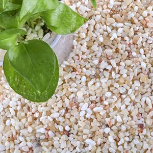 TEMU 500g/1.1lb 골든 샌드스톤 - 수족관 조경용, 어항, 화분, 다육식물, 홈 데코, 정원 조경 디자인에 이상적인 지면 커버용 장식석