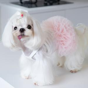 TEMU 귀여운 애완동물용 발레 튤 드레스, 로맨틱 파티에 완벽한 민소매 공주 드레스, 소형견 및 고양이에게 적합, 봄/여름 착용에 이상적