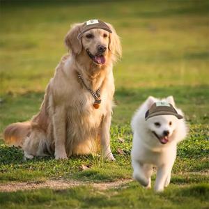 TEMU 귀 뚜껑과 조절 가능한 핏으로 제작된 강아지용 야구 모자, 소형견부터 대형견까지 다양한 품종의 야외 활동에 적합