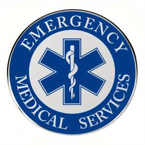 TEMU 생명의 별 & 의료 배지 - 레트로 금속 합금 응급 소생 핀, 의사와 간호사용 - 응급 처치 및 유니폼용 생명 구조 엠블럼