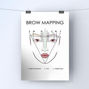 TEMU 2D 플랫, 2D 플랫, 1개입 눈썹 매핑 차트 및 PMU 눈썹 아트 가이드 - 균형 잡힌 눈썹을 위한 상세한 얼굴 측정 가이드, 미용 살롱 장식, 타투 또는 영구 메이크업 관리 포스터에 적합