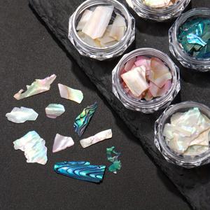 TEMU 네일 아트 오로라 호박殻 플레이크 6개 세트. 3D 불규칙 해변 조개 조각 (블루 & 핑크)으로 구성되어 있으며, 조개 스팽글을 네일 디자인에 추가하는 데 적합합니다. 여성 네일 아트를 위한 이상적인 용품입니다.