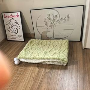 TEMU 고급스러운 플러시 애완 동물 담요, 양면, 부드럽고 두껍고 따뜻한 수면 매트, 재미있는 행잉 볼 포함. 부드럽고 따뜻하며 모든 계절에 적합하며, 다양한 색상과 크기의 직사각형 폴리에스터 담요로 제공됩니다.