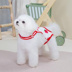 TEMU 애완견 고양이 생리 팬츠 생리 속옷 고양이 절제 수술복 애완 동물 옷 봄 여름 생리 팬츠