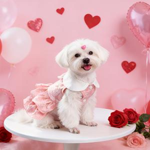 TEMU 기계식 질감 핑크 원단 화이트 피터팬 칼라 디자인 발랄하고 귀여운 스냅 단추 여밈 편리한 착용 케이크 드레스, 발렌타인데이 파티, 생일 등 실내외에 애완 고양이 및 강아지에게 적합