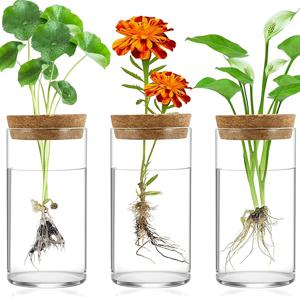 TEMU 3개 세트 모던 유리 수경재배 & 화병 - 투명 수직/수평 식물 재배 시스템, 홈, 오피스, 정원용 - 수경재배 용기, 수생식물용 유리화병