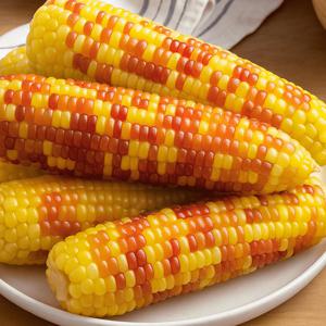 TEMU [산해직송] 쪄서가는 쫀득 탱글 홍찰옥수수 (특대) / 10개