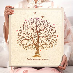 TEMU 라미네이트 마그네틱 자체 접착 앨범, 벨벳 소재, 수제 자체 접착 앨범, 3X5, 4X6, 5X7, 6X8, 8X10 사진 40페이지 총 40페이지 수용, 가족 앨범, 아기 앨범