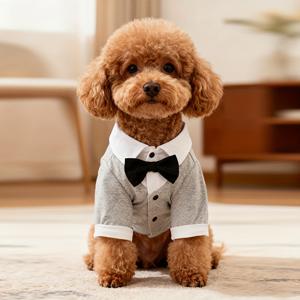 TEMU 소형견용 라이트 그레이 정장, 보우 타이 포함, 공식적인 행사에 적합, 사계절용 애완동물