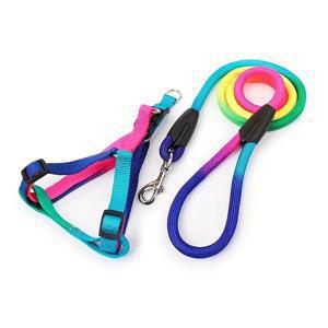 TEMU 생동감 넘치는 노풀 펫 하네스와 리드 세트, 소형 및 중형 강아지와 고양이용 - 야외 산책과 훈련에 완벽