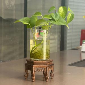 TEMU succulents & collectibles를 위한 우아한 나무 디스플레이 스탠드 - 가정, 사무실, 호텔, 농가, 거실, 침실 장식에 완벽 - 데이 및 휴일 기념일을 위한 이상적인 장식, 다용도 디스플레이 | 장식용 디스플레이 스탠드 | 손수 제작된 나무 구조