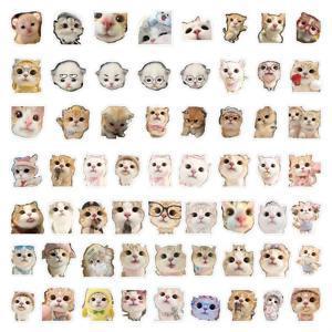 TEMU 귀여운 큰 얼굴 고양이 스티커 60장, 일회용 스티커, 노트북, 휴대폰, 스크랩북, 다이어리, 파티 선물, 공예, 장식용, 겨울, 새해, 생일 선물 등에 적합. 노트북 스티커 | 재미있는 스티커 디자인