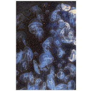 TEMU 1개 액자 없는 캔버스 포스터, 12X18인치 - 별이 빛나는 바다에 빛나는 해파리 학교, 침실, 거실 및 복도 벽화에 적합, 휴일 및 시즌 장식 선물로 완벽