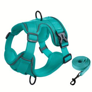 TEMU 소형견 및 고양이에게 적합) 2개 고양이 하네스 및 리드줄 세트, 탈출 방지 조절 가능한 부드러운 메시 고양이 하네스, 모든 종류의 고양이 조끼에 적합 (구매 전 사이즈 차트 참조)