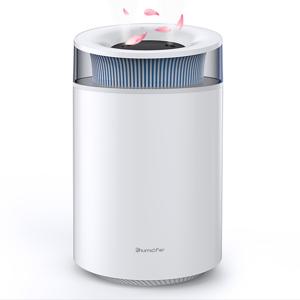 TEMU 대용량 가습기 2.5L 무소음 듀얼미스트 아마로 오일 가습기 다채 무드등 사무실 탁상용