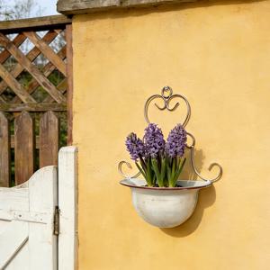 TEMU 레트로 파스텔 스타일의 메탈 벽걸이 꽃 받침대 꽃 바구니 화분 1개 - 레트로 야외 장식용 꽃 받침대, 발코니, 정원 및 테라스에 적합, 다육 식물 및 작은 식물에 이상적