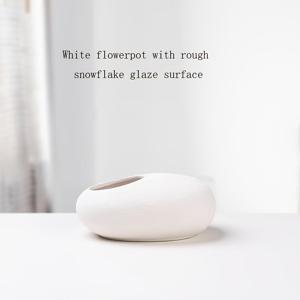 TEMU 연꽃 수련 수경 재배용 타원형 머니 플랜트 화분 1개, 배수구 없는 창의적인 포토스 세라믹 화분, 사무실 및 가정용 책상 장식품, 안뜰 및 정원 장식, 다육식물 화분 원예 선물, 홈 데코