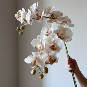 TEMU 2개 세트 리얼리스틱 난초 인조 꽃 - 웨딩, 파티, 장식용 - 꽃병 호환 가능한 인조 난초, 관리 간편한 우아한 장식 (물 필요 없음)