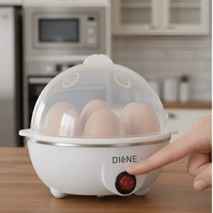 TEMU [DIeNE] 아우라 에그 계란찜기
