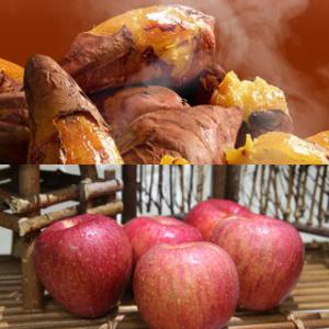 [삼남매네]해남 꿀고구마&경북사과 특가!