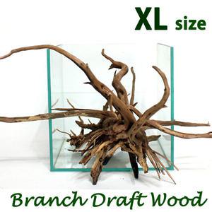 대형 가지유목 XL (40cm이상) / 수족관 어항 수조 장식 장식품 모스 활착 수초 나무 꾸미기 레이아웃 열대어 관상어 구피