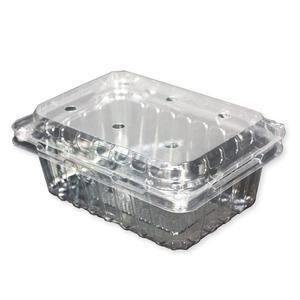 투명 과일포장 블루베리 용기 모음 오디 산딸기