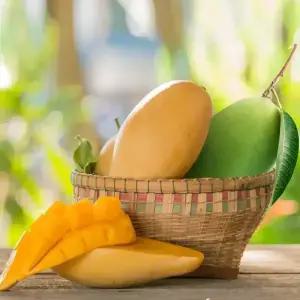 [상록청과]태국 노란망고 5kg - 옵션선택