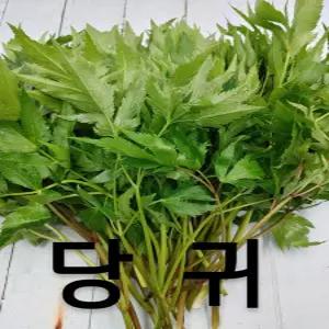 당귀 당귀잎 1kg 내외 국내산 야채맘