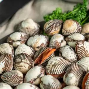 벌교새꼬막(중) 1kg 꼬막전문기업 산지에서 재구매율 높은 상품