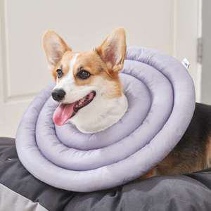 특수체형 강아지 넥카라 두꺼운목 짧은다리