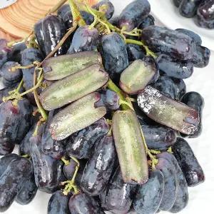 씨없는 고당도 블랙 사파이어 포도 2kg