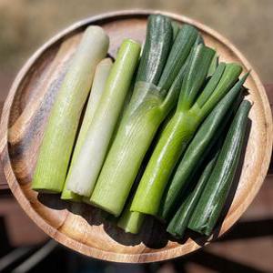 국내산 깐대파 (원유통) 400g, 800g