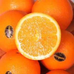 블랙라벨 오렌지 중과 25과 고당도 썬키스트 퓨어 엠팍 랜덤 발송