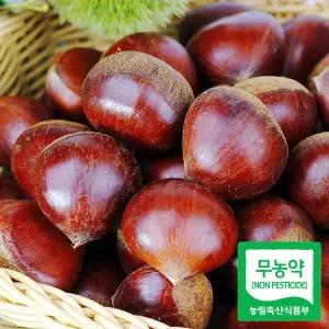 [푸드마인]25년 햇 무농약 공주 정안밤 알밤 특품 2kg 왕밤 농가직송