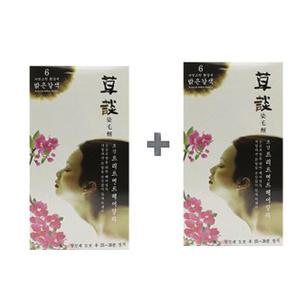 일진 초담 트리트먼트 헤어컬러/새치커버 6호 자연황갈색 2개