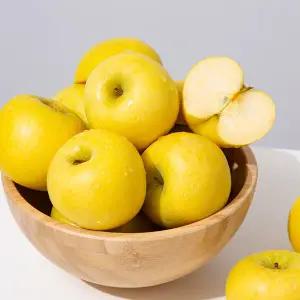 [더조은] 황금사과 시나노골드 주스용 랜덤과 10kg