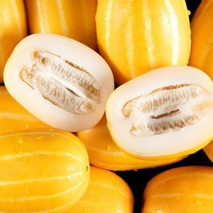 [정품] 국내 경북 성주 벌꿀 참외 2kg 꼬마 소 중 대과