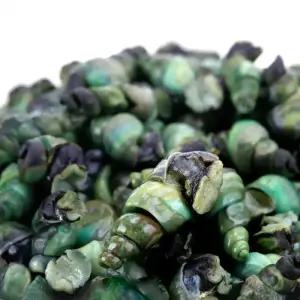 동강 자연산 깐다슬기 400g 1팩