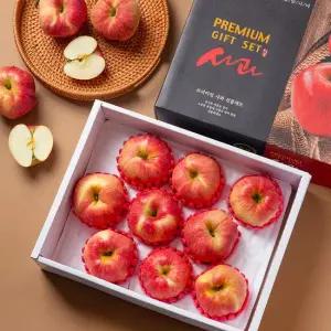 G) [미식한가] 정성가득 빨간사과 프리미엄 선물세트 3kg 9-10과