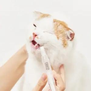 헨로포우 양치펜 펫 강아지 고양이 냥이 애완동물 반려동물 치석제거 입냄새제거 양치펜 칫솔